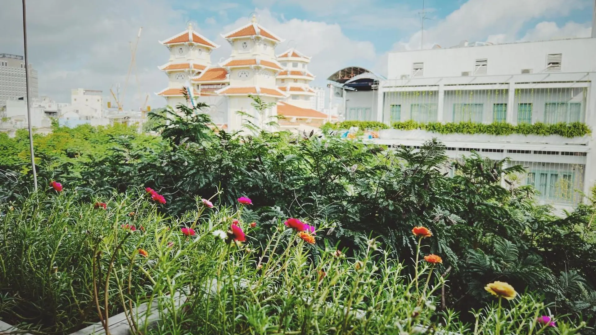 313 House - Cozy & Charming Studio 1M To Bui Vien Ho Chi Minh City Apartment