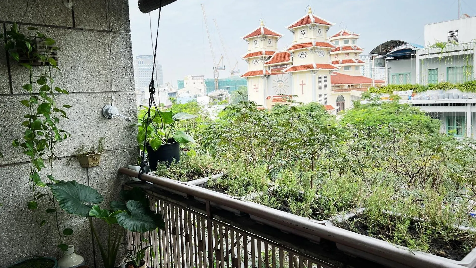 Apartment 313 House - Cozy & Charming Studio 1M To Bui Vien Ho Chi Minh City